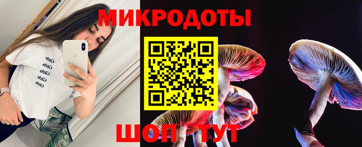Галлюциногенные грибы Cubensis Сергиев Посад