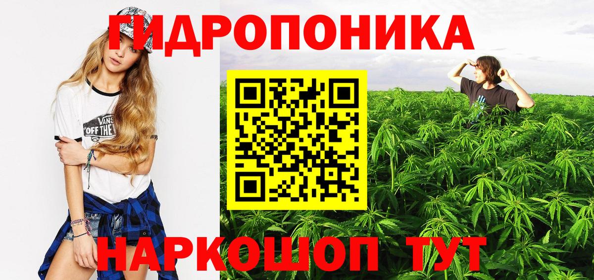 Каннабис семена  МАРИХУАНА план  Шишки марихуана Ganja  Вход с VPN  Сергиев Посад 